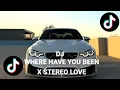 DJ WHERE HAVE YOU BEEN X STEREO LOVE SLOW FULL SONG TIKTOK TERBARU