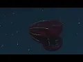 Why Deep Sea Creatures Get Creepier the Deeper You Go