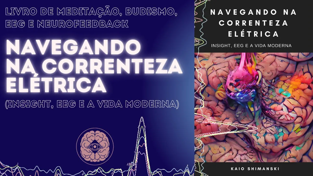EEG, Neurofeedback e Budismo na prática: página por página do meu livro (PDF GRÁTIS)