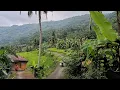 Download Lagu Hening super damai‼️kampung asri di lereng Gunung sungguh bikin hati bahagia