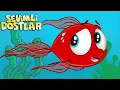 Download Lagu KIRMIZI BALIK Sevimli Dostlar ile en yeni kırmızı balık çocuk şarkısı | Bebek Şarkıları