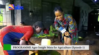 agro insight mata for agriculture plam oil processing