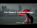 Download Lagu Tere Naam X Tera Ban Jaunga | Heart Touching Lofi Mix | Feel the Love
