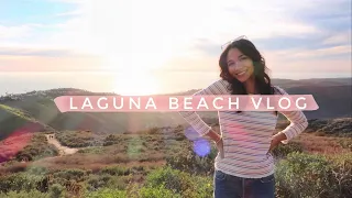 TRAVEL VLOG LAGUNA BEACH Greta Onieogou