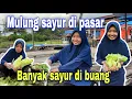 Download Lagu MENCARI SAYUR SISA PEDAGANG⁉️ BANYAK SAYUR DI BUANG