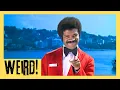The Love Boat Top 15 Weird Facts