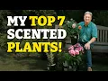 The Top 7 Scented Plants Every Garden Needs