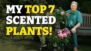 The Top 7 Scented Plants Every Garden Needs