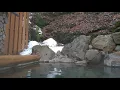 Download Lagu Sakunami onsen near Sendai - outdoor bath in Japanese hot spring