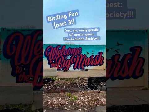 Searching for secretive marsh birds 🔎🐦‍⬛ [w/ the Audubon Society!] - Pt. 3