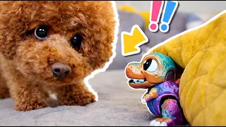 Dinosaur and his funny friend are having fun 🐶🦖
