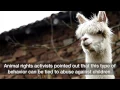 Will bestiality become illegal in Nevada