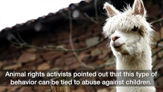 Will bestiality become illegal in Nevada