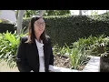 A Day in the Life of an Employment Attorney Plaintiff Side