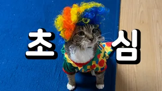 집나간 초심을 찾아서..