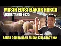 Lagu PROMO BAKAR HARGA DOMBA TERMURAH HARI INI STOK TERBARU DORPER,TEXEL,MERINO, SULFOK DI FILOSOFI DOMBA