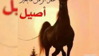 يميل عليا الزمن الاقيك بترفعني     دندنها