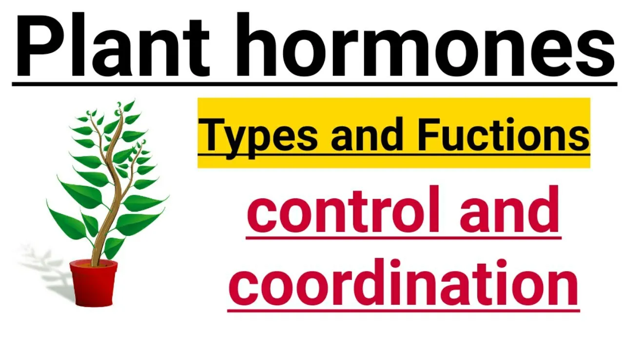 Plant hormones पादप हार्मोन | CBSE Class 10 science | control and coordination | in hindi