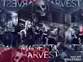 Magenta Harvest/ ...And Then Came the Dust