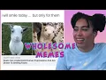 Wholesome Memes To Get You Through Your Hump Day Blues