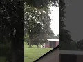 Unknown creature digging in the Greenlawn Cemetery - Akron Ohio