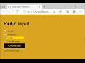 HTML CSS JavaScript Demo Radio Buttons -