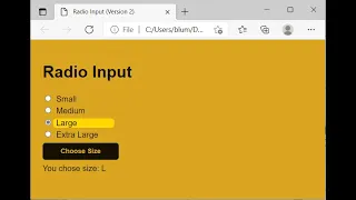 HTML CSS JavaScript Demo Radio Buttons -