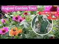 Download Lagu August Garden Tour 🌸| From Orchard to Herb Garden (+ Tomato Hornworm Drama!)