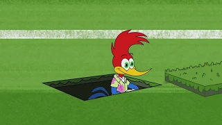 وودي نقار الخشب البحث حلقة كاملة 