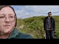 Pure Lured - Road Trip ft. Jake the Dog