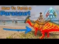 How To Tame A Parasaur on ARK Ascended Beginner Dino Guide