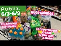 PUBLIX HAUL - EASY DEALS 0 05 ARM HAMMER 3 GAIN 2 CAT LITTER HUGE SAVINGS