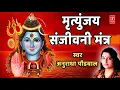 Download Lagu मृतुंजय संजीवनी मंत्र | MRUTUNJAY SANJIVANI MANTRA | ANURADHA PAUDWAL | T-SERIES