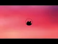 Mimi Webb - Red Flags (Lyrics)
