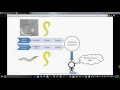 OpenWorm Open House -