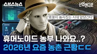 "물 뿌릴 시간입니다 휴먼"(?) 인공지능이 바꿀 한국 농업의 미래는? / 스브스뉴스