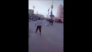 جاموسه هائجه في البصره سوق الزبير لولا لطف رب العالمين جان مات الرجل 