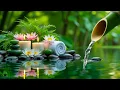 Download Lagu Relaxing Sleep Music with Bamboo Water Sound🌿Relieve Stress \u0026 Anxiety, Deep Sleep Music, Meditation