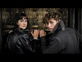 Fantastic Beasts | Love Theme Suite