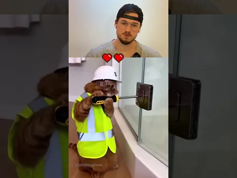 Try not to Laugh 🤫😭 | 543 #funny