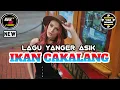 Download Lagu YANGER ASIK IKAN CAKALANG 2022  ( MUSIC RMJ )