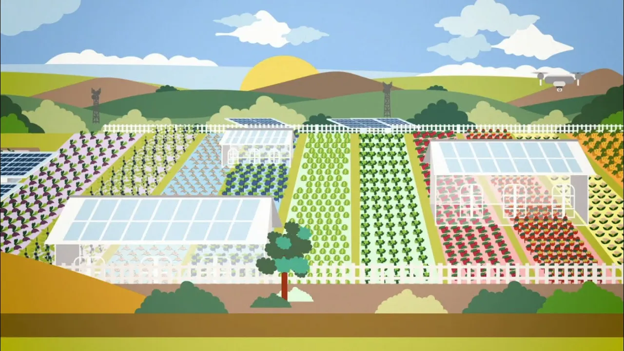 BAYER Cartoon animation explainer video