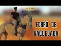 Download Lagu Forró de Vaquejada - Wesley Safadão
