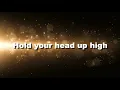 Good Grace (Acoustic) Lyrics Video | HD Audio | Hillsong Worship