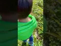 小農夫喂貓咪、看看公雞🐓