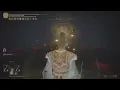 Elden Ring - Royal Revenant boss fight Kingsrealm Ruins