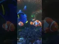 Dory Wakes Marlin and Nemo Nemo and Marlin Tell Dory Finding Nemo Story - Finding Dory Part 7