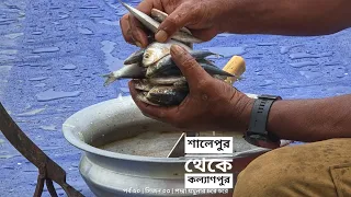 চর শালেপুর টু চর কল্যাণপুর | পদ্মা যমুনার চরে চরে | সিজন ০৩ | পর্ব ২০ | Mohsin ul Hakim