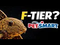 The Best and Worst Fish PetSmart Sells Tier List