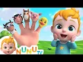 Download Lagu 🐾 NuNu Hayvan Şarkıları Koleksiyonu 🐮🐥🐶 En Sevilen Çocuk Şarkıları | NuNu TV